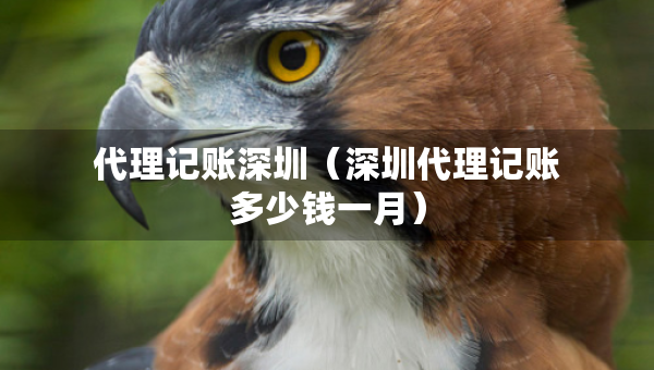 代理記賬深圳(深圳代理記賬多少錢一月) 代理記賬深圳(深圳代理記賬多少錢一月)