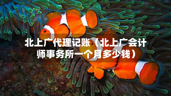 北上廣代理記賬（北上廣會計(jì)師事務(wù)所一個月多少錢）