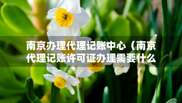 南京辦理代理記賬中心（南京代理記賬許可證辦理需要什么條件）