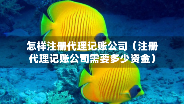 怎樣注冊代理記賬公司（注冊代理記賬公司需要多少資金）