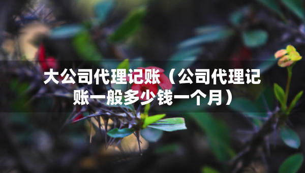 大公司代理記賬（公司代理記賬一般多少錢一個月）