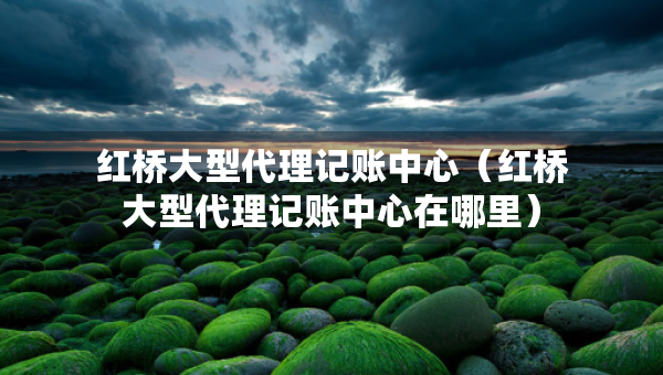 紅橋大型代理記賬中心（紅橋大型代理記賬中心在哪里）
