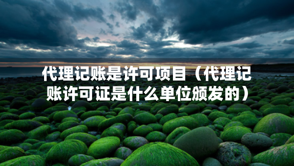 代理記賬是許可項(xiàng)目（代理記賬許可證是什么單位頒發(fā)的）