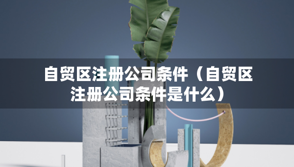 自貿(mào)區(qū)注冊公司條件（自貿(mào)區(qū)注冊公司條件是什么）