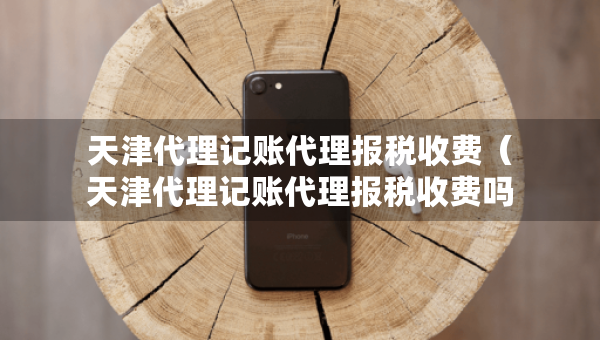 天津代理記賬代理報稅收費（天津代理記賬代理報稅收費嗎）