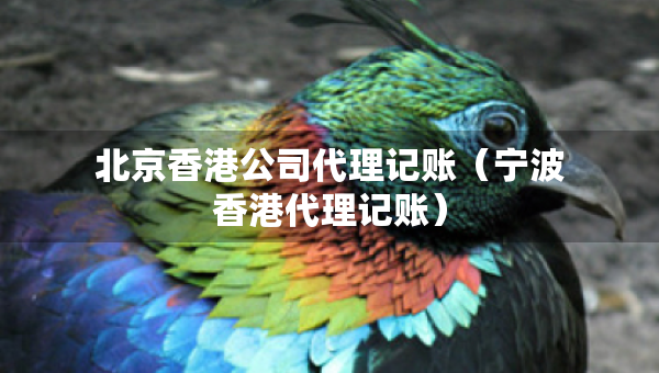 北京香港公司代理記賬（寧波香港代理記賬）