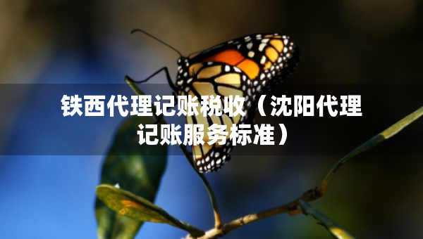 鐵西代理記賬稅收（沈陽(yáng)代理記賬服務(wù)標(biāo)準(zhǔn)）