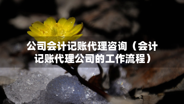 公司會計(jì)記賬代理咨詢（會計(jì)記賬代理公司的工作流程）