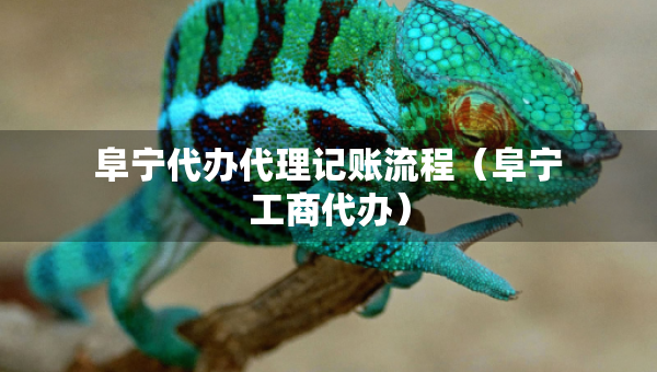 阜寧代辦代理記賬流程（阜寧工商代辦）