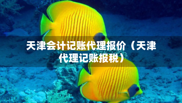 天津會(huì)計(jì)記賬代理報(bào)價(jià)（天津代理記賬報(bào)稅）