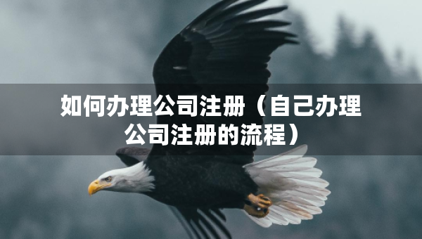 如何辦理公司注冊(cè)（自己辦理公司注冊(cè)的流程）