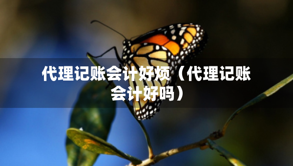 代理記賬會(huì)計(jì)好煩（代理記賬會(huì)計(jì)好嗎）