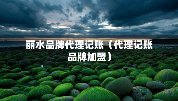 麗水品牌代理記賬（代理記賬品牌加盟）