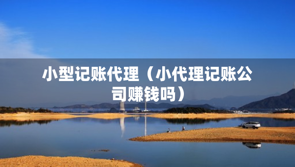小型記賬代理（小代理記賬公司賺錢嗎）