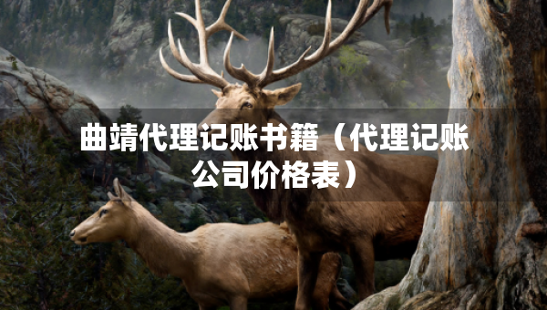 曲靖代理記賬書籍（代理記賬公司價(jià)格表）