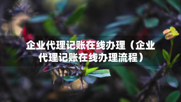 企業(yè)代理記賬在線辦理（企業(yè)代理記賬在線辦理流程）