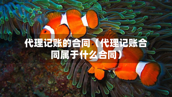 代理記賬的合同（代理記賬合同屬于什么合同）