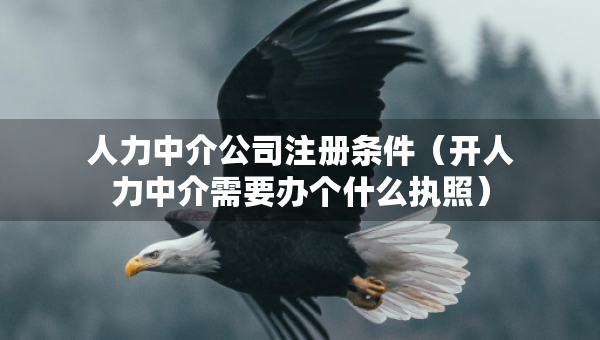 人力中介公司注冊條件（開人力中介需要辦個什么執(zhí)照）